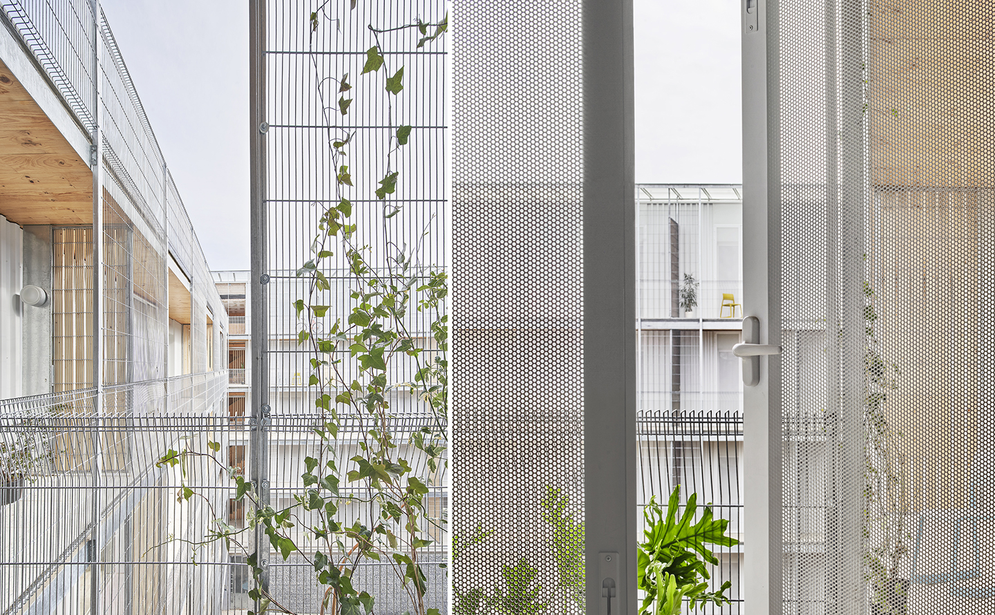 imatge habitatges peris+Toral